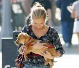 Hayden Panettiere prend bien soin de son petit chien à Los Angeles