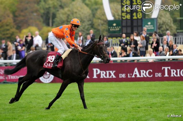 Christophe Soumillon au Qatar Prix de l'Arc de triomphe. 04/10/09