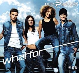 Whatfor