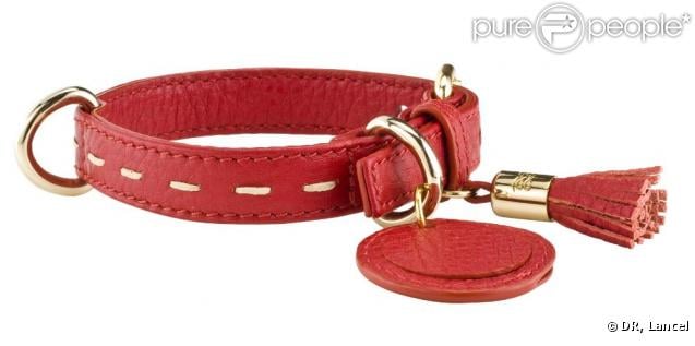 Colliers Lancel pour chiens