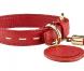 Colliers Lancel pour chiens