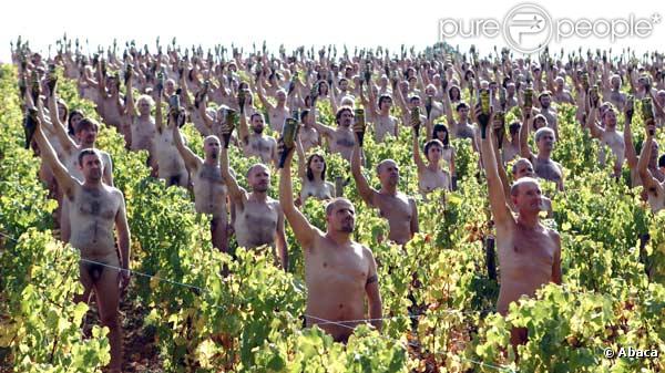 Cette centaine de nudistes posent dans des vignes, couverts de raisins...