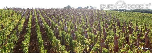 Cette centaine de nudistes posent dans des vignes, couverts de raisins...