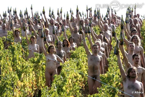 Cette centaine de nudistes posent dans des vignes, couverts de raisins...