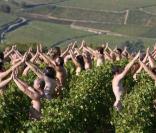 Cette centaine de nudistes posent dans des vignes, couverts de raisins...