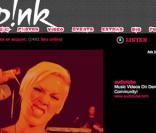 Petit Message de Pink sur son site internet
