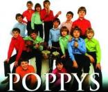 Le disque des Poppys