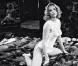 La pulpeuse Brigitte Lahaie...