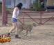 Adeline arrive à maîtriser un guépard