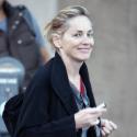Sharon Stone : Transformée en Madame Doubtfire pour New York Unité spéciale, elle reste superbe !