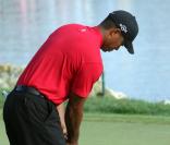 Tiger Woods