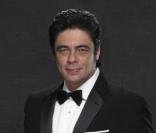 Caroline Correa et Benicio Del Toro, au summum de l\'élégance<br />