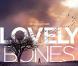 Des images de Lovely Bones , de Peter Jackson, disponible en DVD.