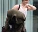 Pete Doherty a annulé à la dernière minute son concert à Nice le 8 juillet 2010, hospitalisé d'urgence dans le plus grand secret...