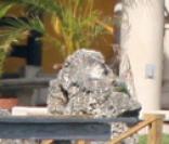 Kate Hudson à Miami pendant le week-end de Pâques 2008... Qui est au bout du fil ?