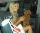 The Saturdays : Les cinq bombes britanniques savent s'y prendre pour rester number one !
