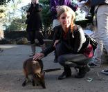 Nicky Hilton en visite au zoo Taronga à Sydney en Australie, le 24 août 2010