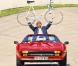 Laurent Fignon, champion plein de superbe et homme de caractère, s'est éteint le 31 août 2010 à la Pitié-Salpêtrière, emporté par le cancer contre lequel il se battait ouvertement depuis le printemps 2009...