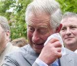Clarence House, le 10 septembre 2010 : le prince Charles et Camilla Parker Bowles piquent un fou rire mémorable devant les 16 chats d'un orgue très spécial !