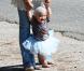 Camila Alves, à Malibu, se promène avec ses deux enfants Vida et Levi. Octobre 2010