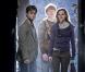  Harry Potter et les Reliques de la Mort  (Partie 1), sortie en salles le 24 novembre 2010