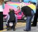 Jennifer Garner emmène ses filles Seraphina et Violet dans un marché fermier le 5 décembre 2010 à Pacific Palisades
