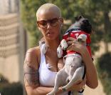 Amber Rose promène son toutou dans les rues de Los Angeles, le 7 janvier 2010