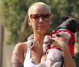 Amber Rose promène son toutou dans les rues de Los Angeles, le 7 janvier 2010