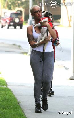 Amber Rose promène son toutou dans les rues de Los Angeles, le 7 janvier 2010