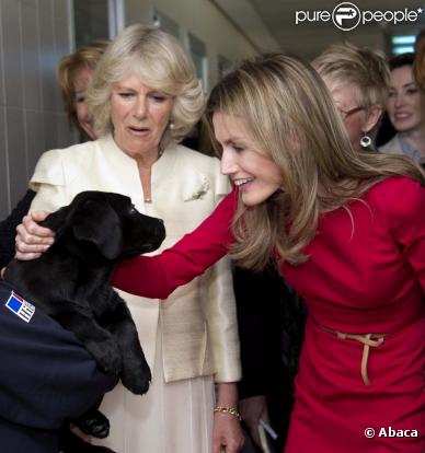Letizia et Camilla Parker Bowles ont visité un centre d'adoption de chiots à Madrid le 31 mars 2011