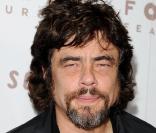 Benicio Del Toro à la première de Somewhere à Los Angeles en septembre 2010