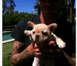 Photo de Scarlet et David Beckham postée par Victoria Beckham sur Twitter le 15 mai 2011 