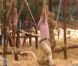 Epreuve sportive dans Pékin Express : la route des grands fauves le jeudi 19 mai 2011 sur M6