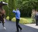 Le 19 mai 2011, à l'occasion de l'avant-dernier jour de sa visite historique en Irlande, la reine Elizabeth II, passionnée de chevaux de races, a découvert les haras nationaux irlandais de Kildare.