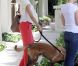 Eva Mendes dans les rues d'Hollywood avec son chien, le 3 juin 2011