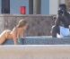 50 Cent et sa nouvelle chérie en vacances à Los Cabos au Mexique le 4 juin 2011