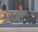 50 Cent et sa nouvelle chérie en vacances à Los Cabos au Mexique le 4 juin 2011