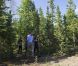 Le duc et la duchesse de Cambridge, au sixième jour de leur visite officielle au Canada, étaient le 5 juillet 2011 dans la province des Territoires du Nord-Ouest. De Yellowknife, ils ont décollé pour le lac Blachford, où ils ont pu s'immiscer dans la vie tribale des Aborigènes puis savourer quelques heures d'intimité sur Eagle Island. 
