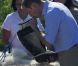 Le duc et la duchesse de Cambridge, au sixième jour de leur visite officielle au Canada, étaient le 5 juillet 2011 dans la province des Territoires du Nord-Ouest. De Yellowknife, ils ont décollé pour le lac Blachford, où ils ont pu s'immiscer dans la vie tribale des Aborigènes puis savourer quelques heures d'intimité sur Eagle Island. 