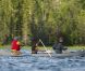 Le duc et la duchesse de Cambridge, au sixième jour de leur visite officielle au Canada, étaient le 5 juillet 2011 dans la province des Territoires du Nord-Ouest. De Yellowknife, ils ont décollé pour le lac Blachford, où ils ont pu s'immiscer dans la vie tribale des Aborigènes puis savourer quelques heures d'intimité sur Eagle Island. 
