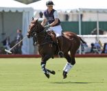  Le prince William a sonné la charge et marqué trois fois pour son équipe du Royal Salute, victorieuse de l'équipe Audi/American Express. 
 Samedi 9 juillet 2011, chacun sa mission pour le prince William et son  épouse la duchesse Catherine de Cambridge : au Santa Barbara Polo and  Racquet Club, le futur roi d'Angleterre jouait un match caritatif, et sa  charmante Kate remettait les récompenses... Assorties d'une onde de  charme. 