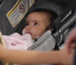 Denise Richards à l'aéroport de Los Angeles le 20 août 2011 avec ses filles Lola, Sam et Eloise : la petite dernière est craquante 