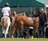 Elle Macpeherson passe la journée avec ses deux fils Arpad et Aurelius au Richmond Polo Club à Londres, le 25 septembre 2011