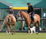 Elle Macpeherson passe la journée avec ses deux fils Arpad et Aurelius au Richmond Polo Club à Londres, le 25 septembre 2011