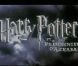Harry Potter : Un des héros de la saga à la rue