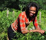 Michelle Obama organise la troisième récolte du potager de la Maison Blanche, à Washington, le 5 octobre 2011.