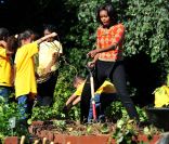Michelle Obama organise la troisième récolte du potager de la Maison Blanche, à Washington, le 5 octobre 2011.