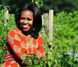 Michelle Obama organise la troisième récolte du potager de la Maison Blanche, à Washington, le 5 octobre 2011.