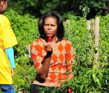 Michelle Obama organise la troisième récolte du potager de la Maison Blanche, à Washington, le 5 octobre 2011.