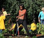 Michelle Obama organise la troisième récolte du potager de la Maison Blanche, à Washington, le 5 octobre 2011.